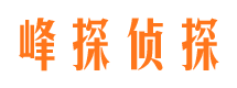 雨湖市私家侦探